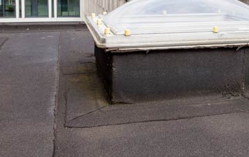 disadvantages of Troopers Inn flat roofs