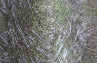 Troopers Inn fibreglass roof work